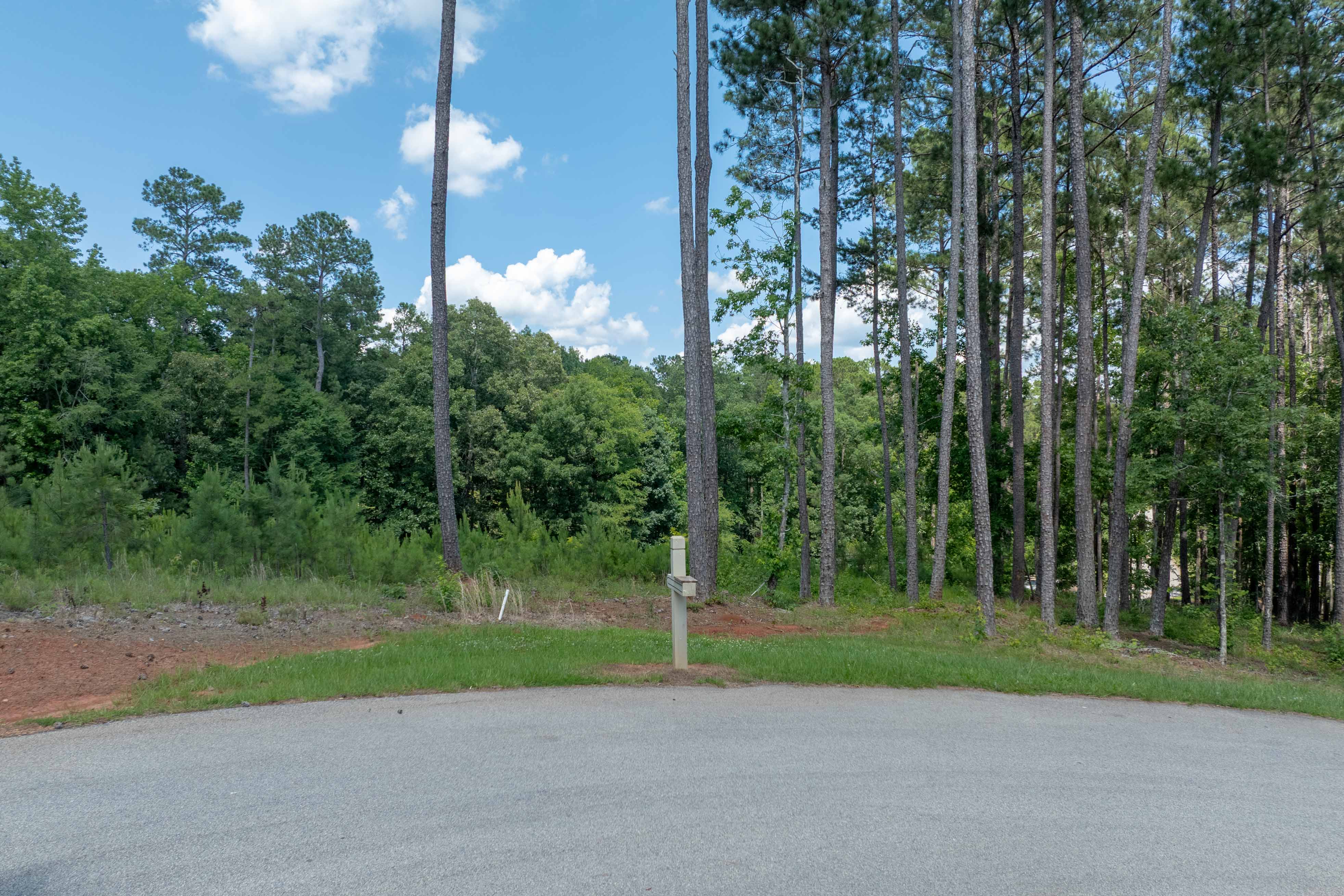 1000 Creek Bluff image 3